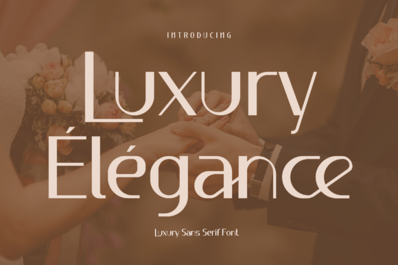 Luxury Élégance: A Refined Sans Serif Font for Editors